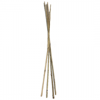 Bamboo Garden Stakes - 4 Foot